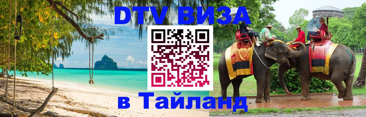 Оформление DTV визы под ключ: стоимость и тарифы, только загранпаспорт - 20.11.2025 